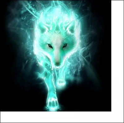 Comment se nomme l'animal que Sorceline voit ?