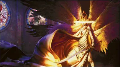 Comment appelle-t-on l'accessoire placé sur la planche ?