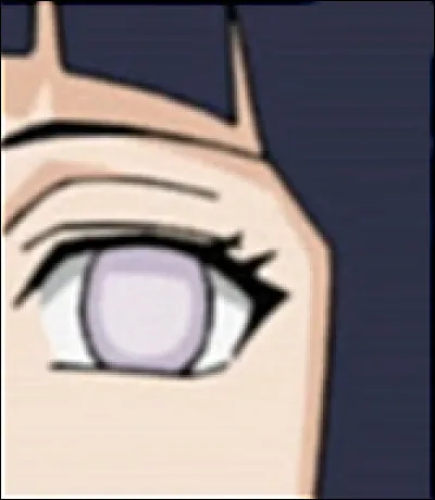 À quel personnage appartient cet il ?