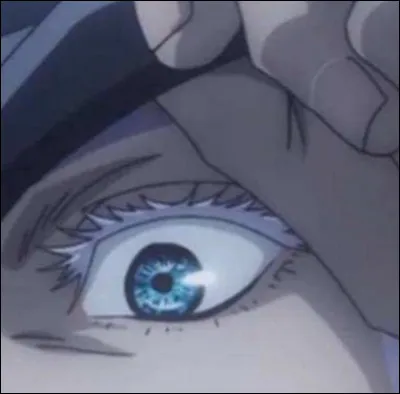 À quel personnage appartient cet il ?