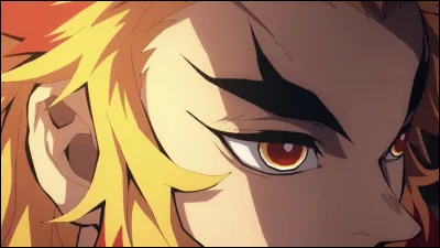 À quel personnage appartient cet il ?