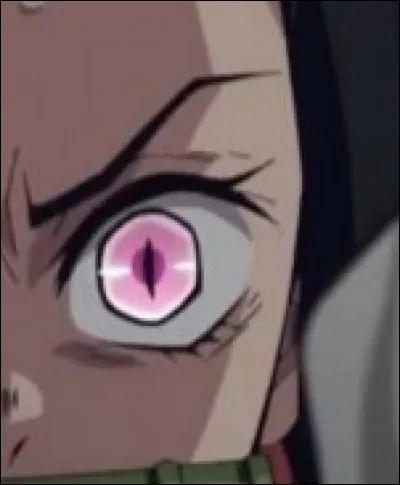 À quel personnage appartient cet il ?