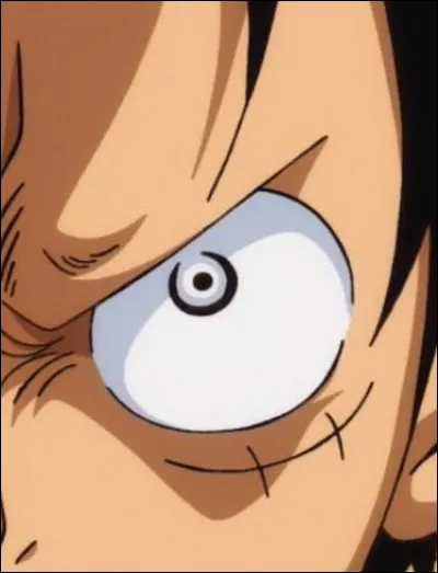 Pour finir, à quel personnage appartient cet il ?