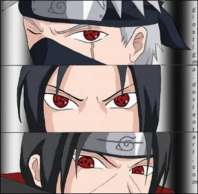 Parmi les quatre réponses qui ne correspond pas aux Uchiwa ?