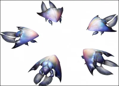 Il est impossible de changer l'élément des scarabées-étoile en les frappant avec une arme dotée d'un élément.