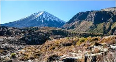 Géographie : Laquelle de ces régions n'est pas une région néo-zélandaise ?