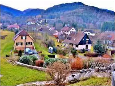 Village du parc naturel régional des Ballons des Vosges, dans l'arrondissement de Thann-Guebwiller, Storckensohn se situe dans le département ...