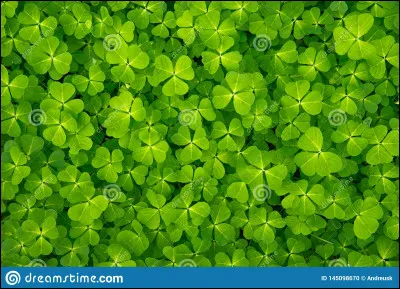 Quel est ton chiffre chance ? 
(Si tu ne sais pas, choisis au hasard, ça marche aussi.)