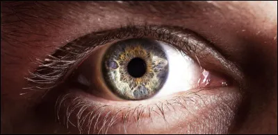 Tes yeux sont :