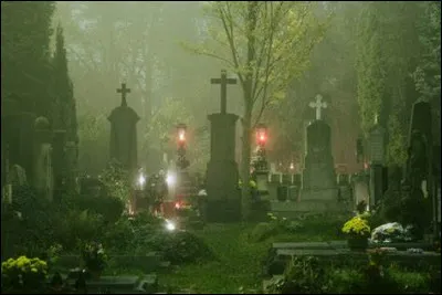 "Nous n'irons plus au bois" - A quel âge la petite Laurie a-t-elle été enlevée par Bic et Opal ?