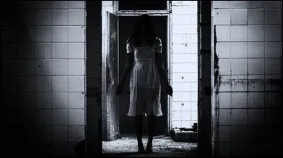 "La nuit est mon royaume" - Quel est le métier de Jane Sheridan ?