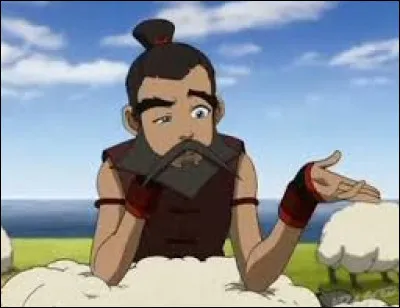Comment trouves-tu Sokka ?