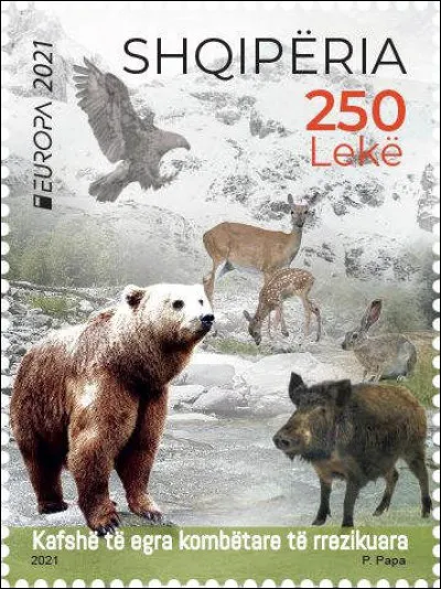 Tout simplement : d'où vient ce timbre ?