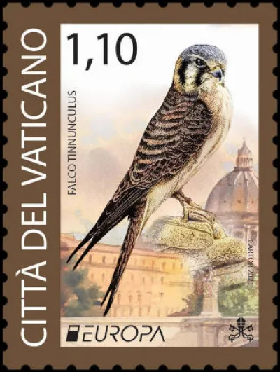 Cité du Vatican > Avec seulement 23 ha de jardins, ce spécimen a un terrain de jeux limité : c'est le faucon ...