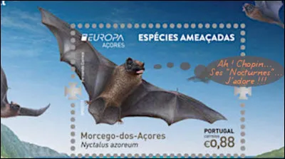 Açores > Ce chiroptère est dit "des Açores", car il y est endémique quoique gravement menacé. Mais quel est son petit nom commun ?