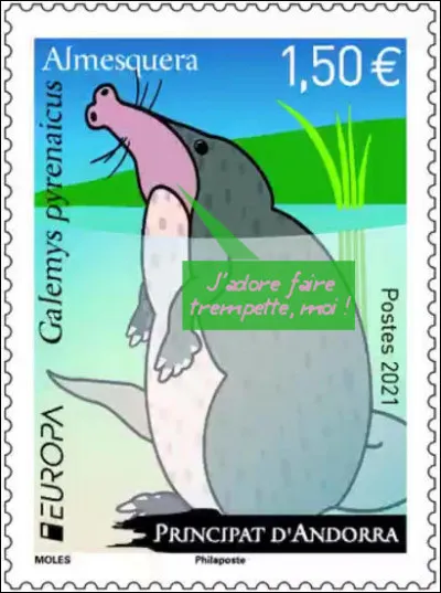 Andorre > Le rat [...comment ?] est un petit mammifère de la famille des talpidés, vivant dans des cours d'eau propres, frais et forts, avec des canaux rocheux.