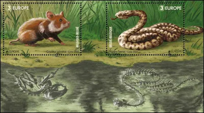 Belgique > Le hamster d'Europe et la vipère péliade sont deux animaux en danger de la faune belge ; d'ailleurs, on le voit bien ! Pourquoi ?