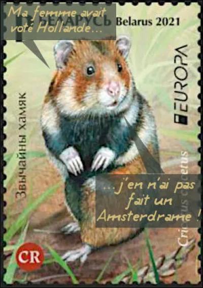 Biélorussie > Ce petit rongeur a bien de l'esprit, je trouve !