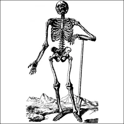 Quel poète est lauteur du poème ''Le Squelette laboureur'' , un des poèmes du recueil ''Les Fleurs du mal'' ?