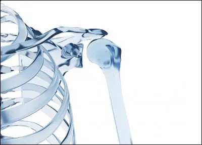 Quel est le nom scientifique de la maladie des os de verre ?