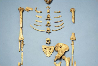 Quel est le nom de ce squelette découvert en 1974 en Éthiopie ?