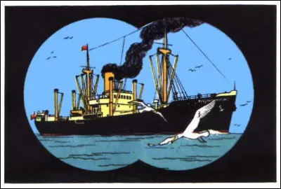 Le Temple du Soleil > Mal aux yeux ? Il est temps de sortir les jumelles !