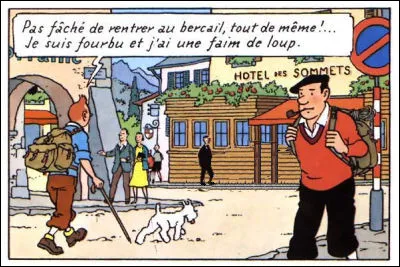 Tintin au Tibet > Nous ne sommes point encore aux sommets, mais peu s'en faut... Que manque-t-il encore dans ce décor ?
