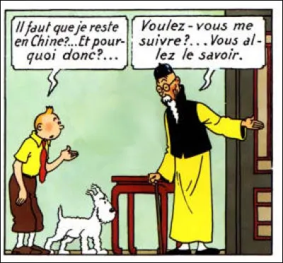 Le Lotus Bleu > Par contre et malgré ce lotus, le bleu fait ici plutôt pâle figure, n'est-ce pas ?