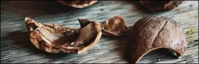 Dans les Deux-Sèvres, qu'appelait-on un jau ?