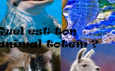 Quiz Animaux