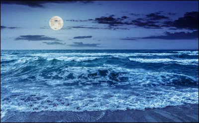 Pour toi, qu'est-ce que le clan des Étoiles ?