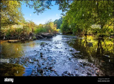 Pour toi quelle est la meilleure qualité ?