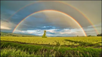Quel est ton pays préféré ?