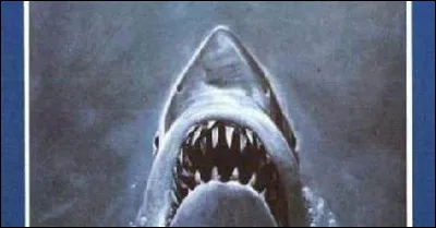 Par quoi l'expert est-il protégé lorsqu'il descend en mer ?