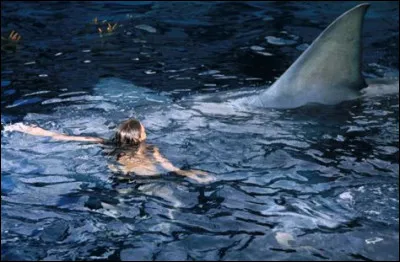 A quel animal attribue-t-il la mort de la question 2 ?