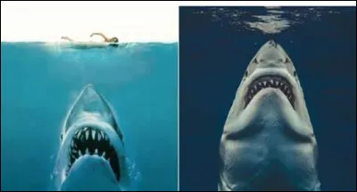 Comment l'expert s'appelle-t-il ?