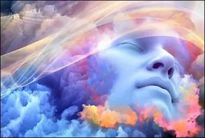 Quel est ton travail de rêve concernant les animaux ?