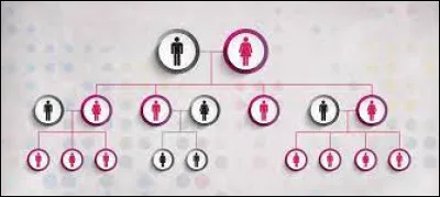 Un caractère transmis de génération en génération est dit...