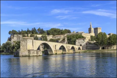 Quel est ce vestige &agrave; 4 arches du pont de 1185 situ&eacute; sur le Rh&ocirc;ne &agrave; Avignon ?