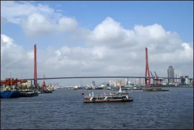 Quel est ce pont de Shanghai (8 354 m) qui relie le district de Yangpu &agrave; celui de Pudong ?