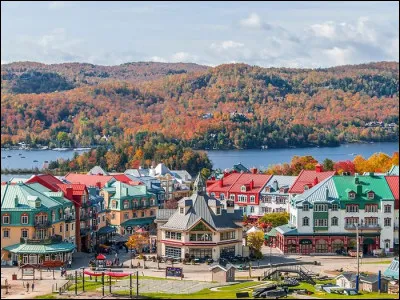 Histoire : En quelle année la France a-t-elle cédé ses colonies d'Amérique du Nord ?