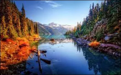 Culture : Quelle feuille d'arbre est l'emblème du Canada ?