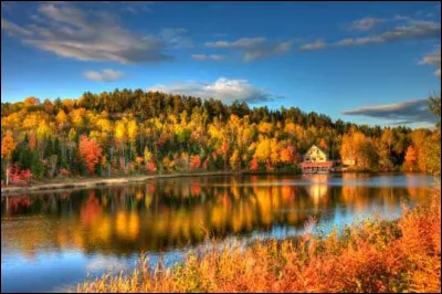 Art : Lequel de ces films n'est pas canadien ?