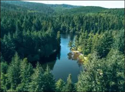 Économie : Lequel de ces produits n'est pas exporté par le Canada ?