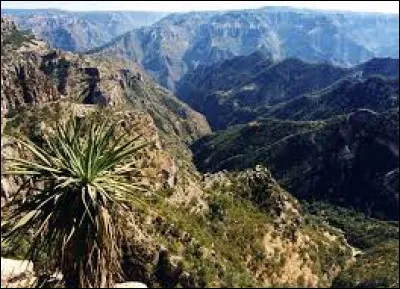 Géographie : Quelle est la principale chaîne de montagnes au Mexique ?