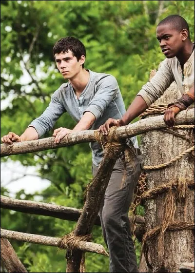 Tes défauts sont (sois honnête)