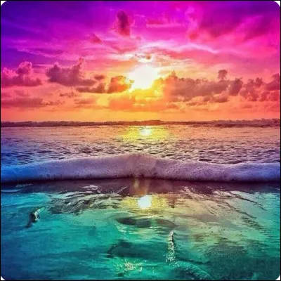 Question basique mais importante : quelle est ta couleur préférée ?