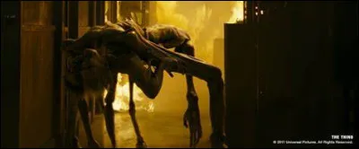 De quel pays l'hélicoptère pourchassant le chien de traîneau vient-il ?