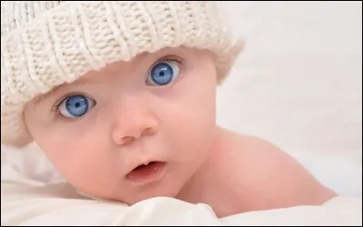 Les jeunes membres s'agitent dans tous les sens ! Heureusement, Jane est là pour les superviser, et leur demande de plutôt travailler leur orthographe : les bonbons seront plus enclins à les rejoindre si cela leur est demandé poliment. Les petiots s'essayent au jeu : d'après vous, auquel d'entre eux reviendra la palme du plus grand collectionneur de bonbons ? Lequel de ces bébés Quizz.biz a, ici, parlé correctement ?