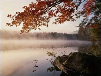 Quelle ville devient la capitale du Congo en novembre 1929, appelé à l'époque ''Congo belge" ?